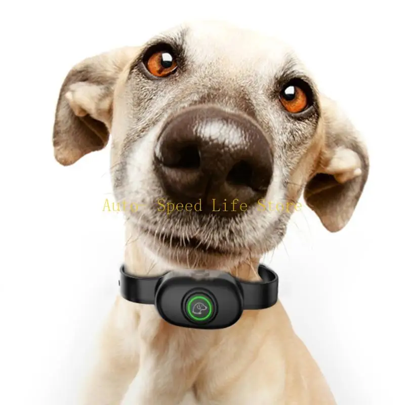 

02DA Перезаряжаемый анти -колю вибрационный воротник Humane Shock Vibration Stop Dog Trainer