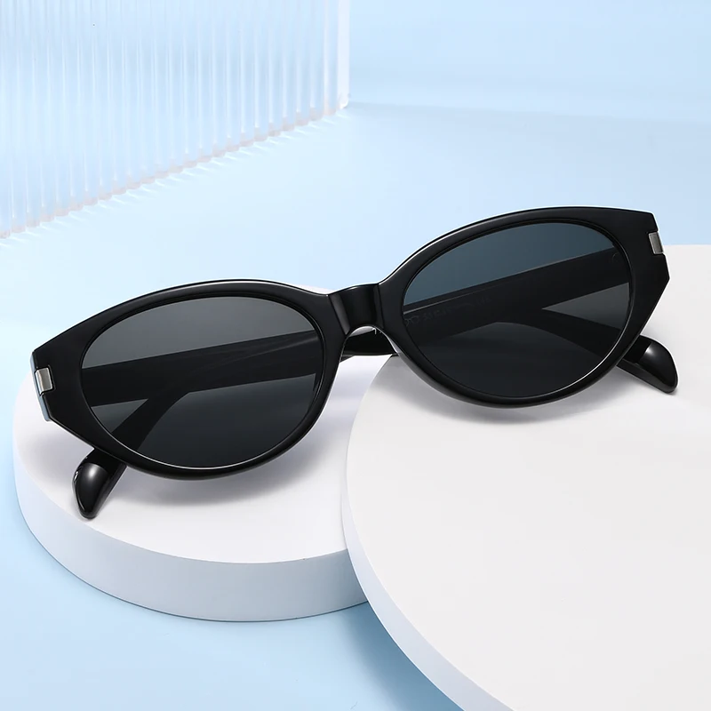 

New Fashionable Cat Eye Ladies Sunglasses Street Style Multi-Color Options Versatile Travel Sun Glasses