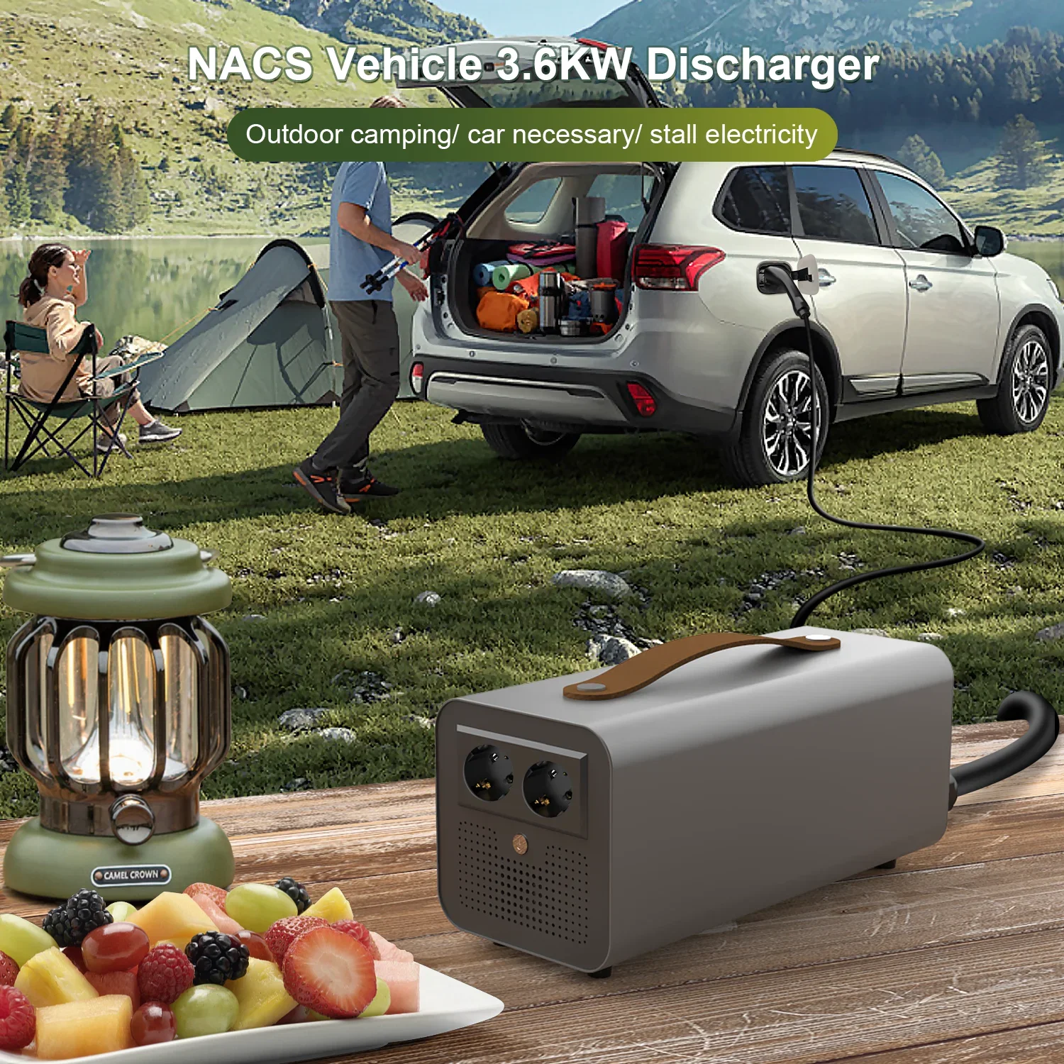 Tesla CCS2 Discharg…