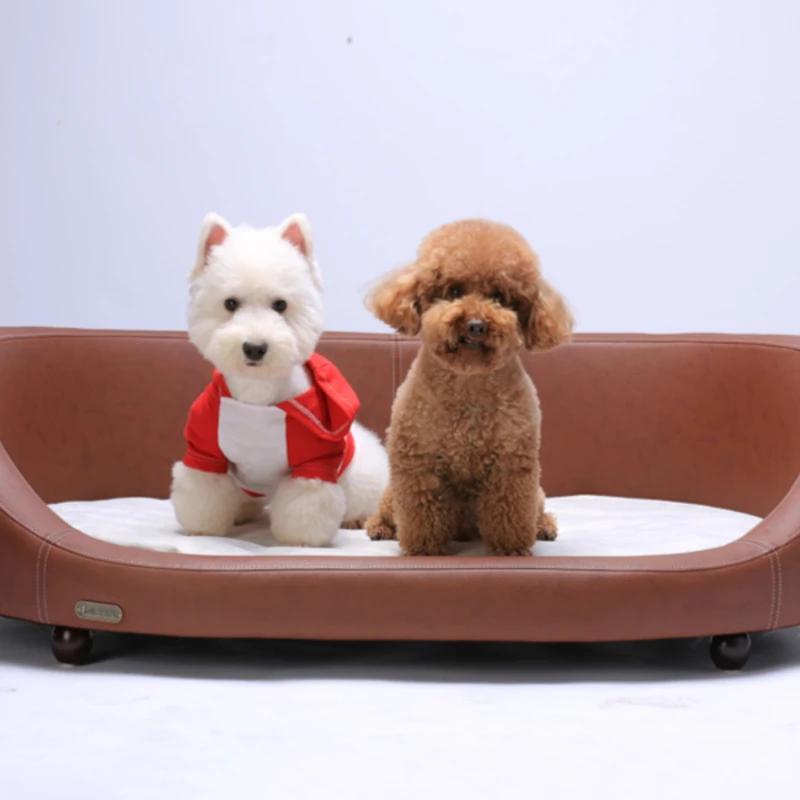 Little Prince Star Bern Berne Pet Sofa Large Dog Bed With Cushion For Golden Retrievers Chai Puppies Durable And Stable