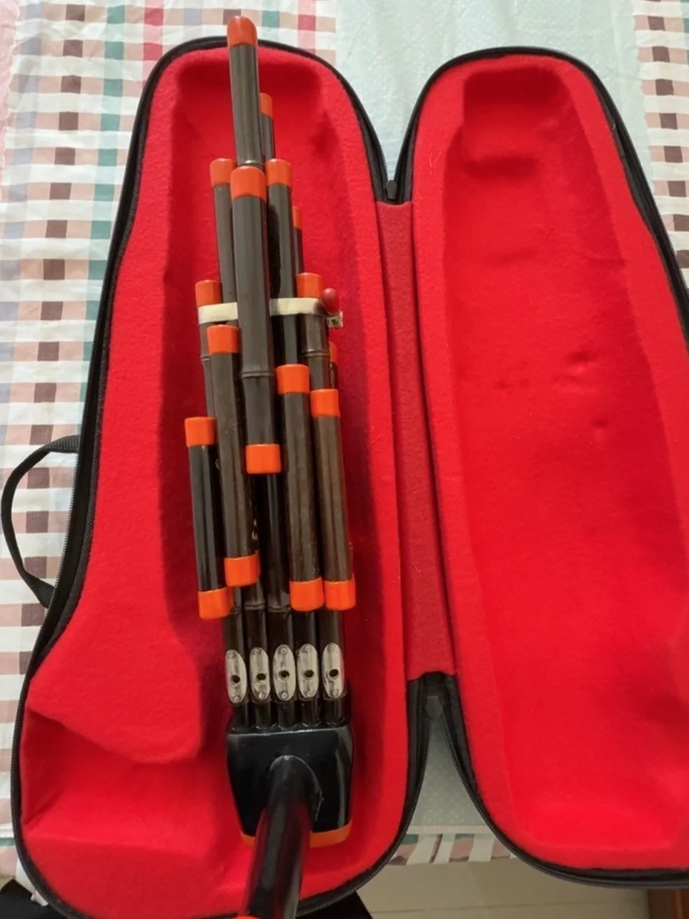 14 Reeds Sheng Double Sound Amplifier Tubes Purple Bamboo Chinese Traditional Wind Musical Instrument