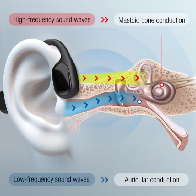 Bluedeer Bone Condu…