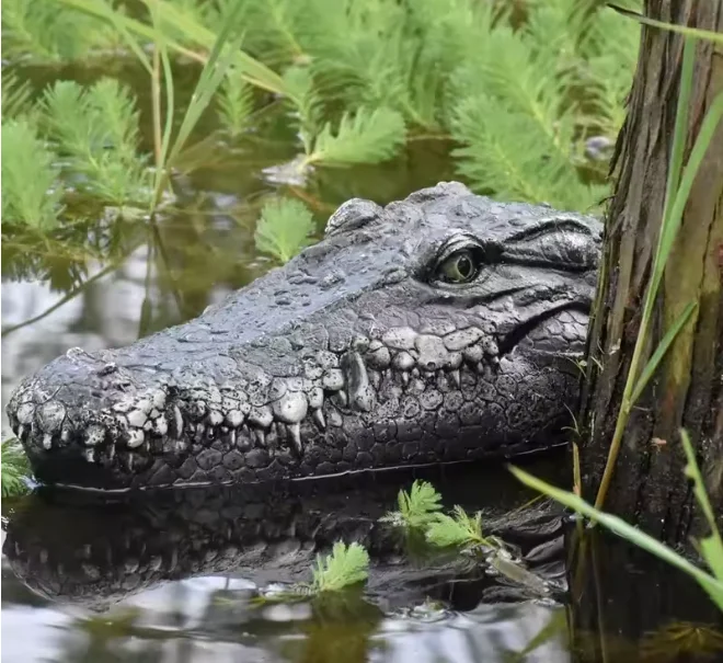 Barco a control remoto simulación cabeza de cocodrilo 2,4G broma de Control remoto señuelo de cocodrilo juguetes eléctricos verano parodia de agua robot juguetes regalo