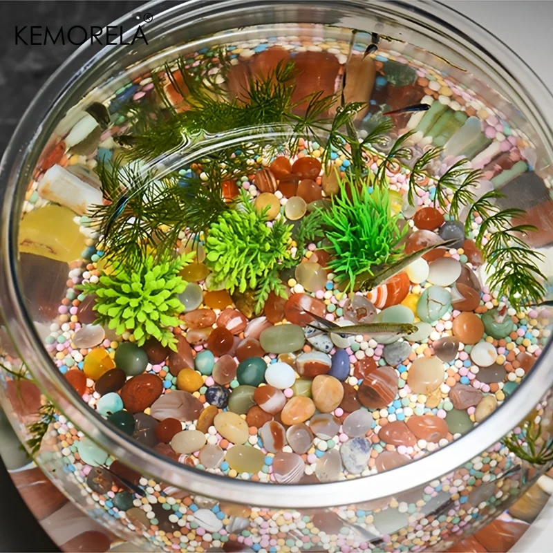 Thumbnail 4 - #20 Trending Desktop Fish Bowls Right Now