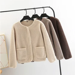 2023 Autumn Winter Lamb Wool Fleece Coat Women's Loose Short Thicked Zipper Cardigan Casual Warm Outerwear Oversized L-5XL