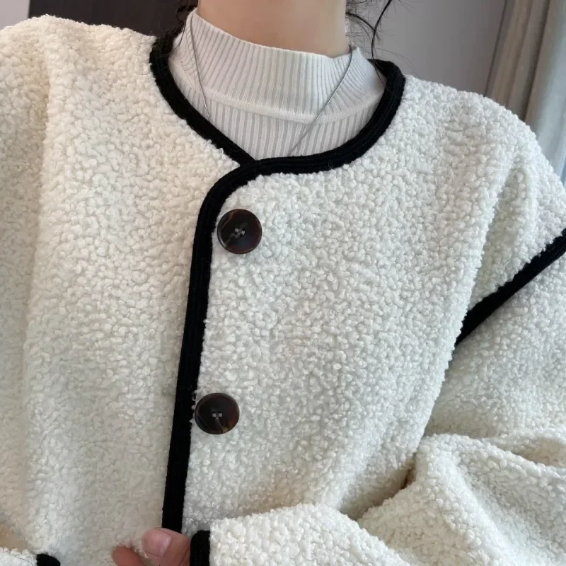 Lamb Wool Jacket for Women, 2024 Autumn and Winter New Collection, Women\'s Cardigan, Lamb Wool Loose and Thick Fur One-piece Top