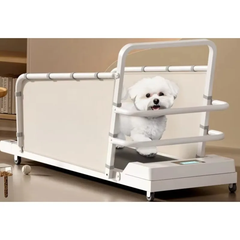 

Electric Pet Treadmill, Powered Exercise for Cats and Dogs