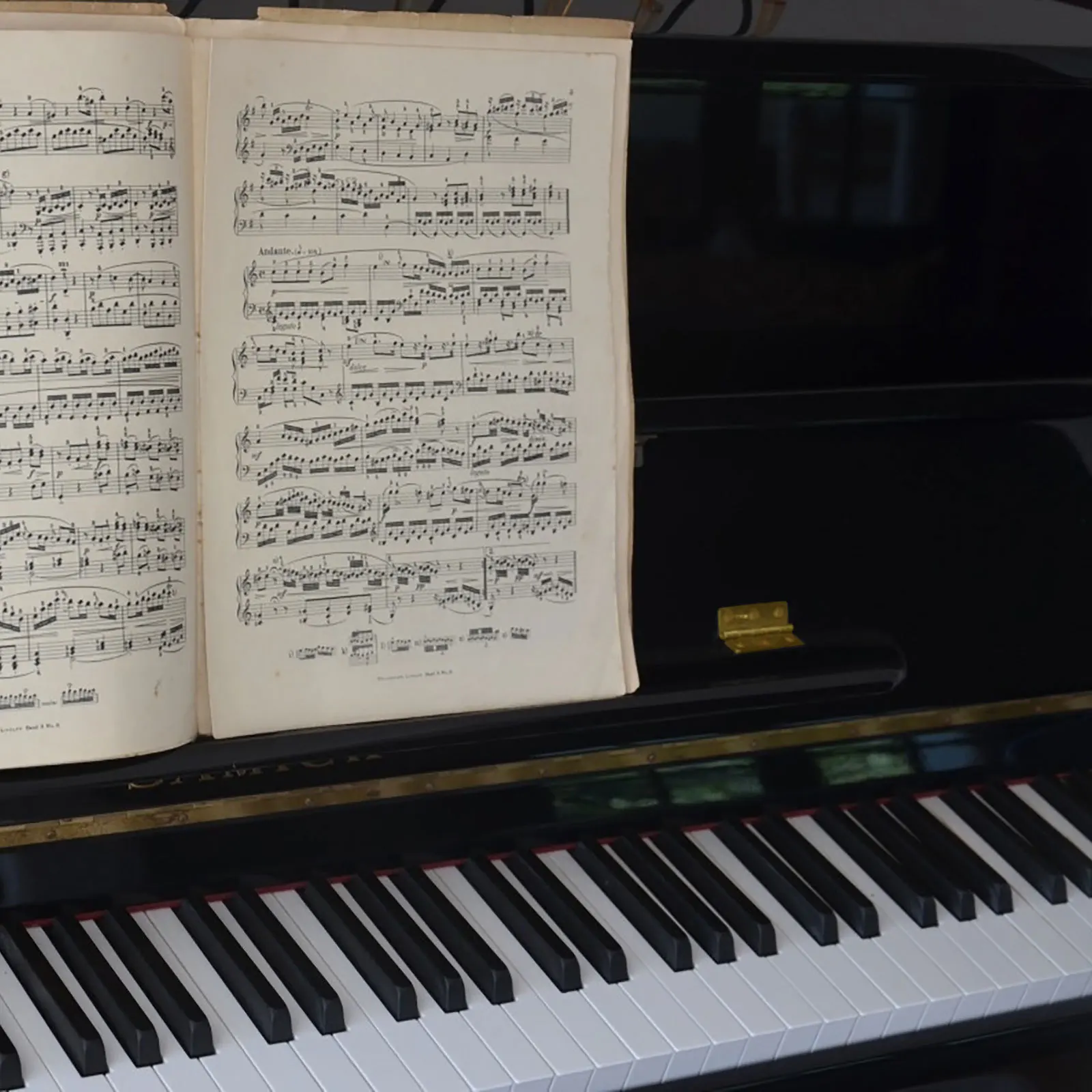 

4Pcs Piano Hinges Small Copper Butt Hinges Rust Resistant Stable Foldable for Cabinet Doors Jewelry Box Craft Use