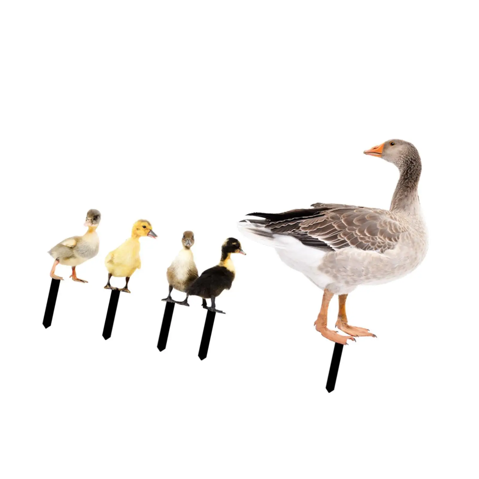 

4x Duck Animal Statue Stakes, Garden Stakes, Decorative, Weatherproof, Ornament Duck Statue for Garden Sidewalk Home