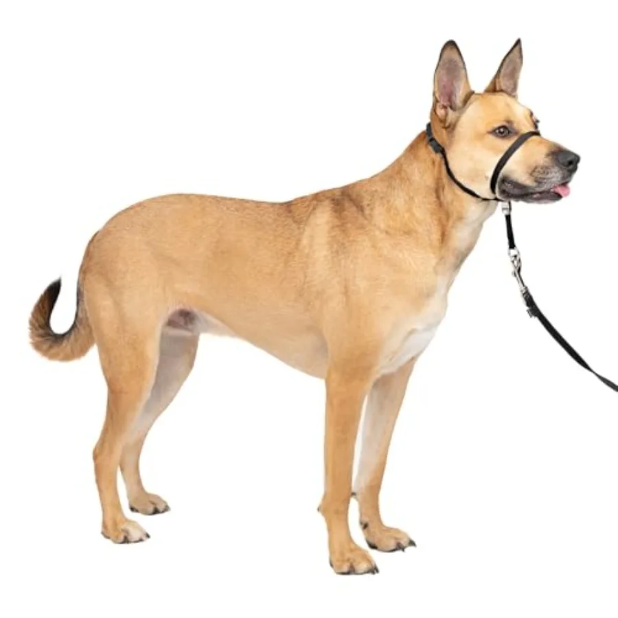 

Gentle Leader Headcollar -Pull Dog Collar - Helps Improve Walks - Durable Nylon Construction - Padded se Loop - Adjustable Fit