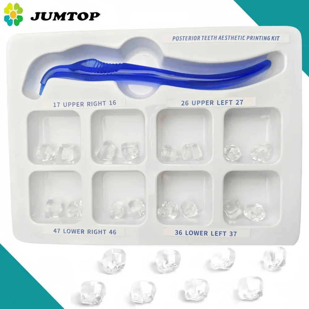

Dental Posterior Teeth Resin Mold - Aesthetic Fissure Stamp & Restoration Tools for Dentists (BPA-Free)