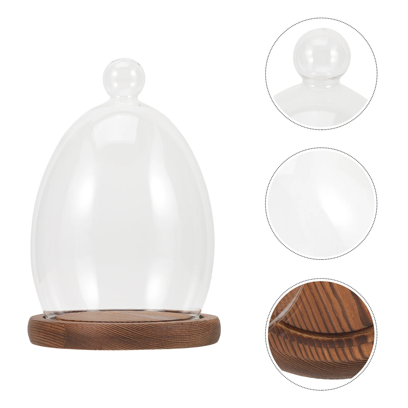 

Egg Glass Cover Cake Stand Base Flower Transparent Clear Dome Micro Landscape Eternal Vase