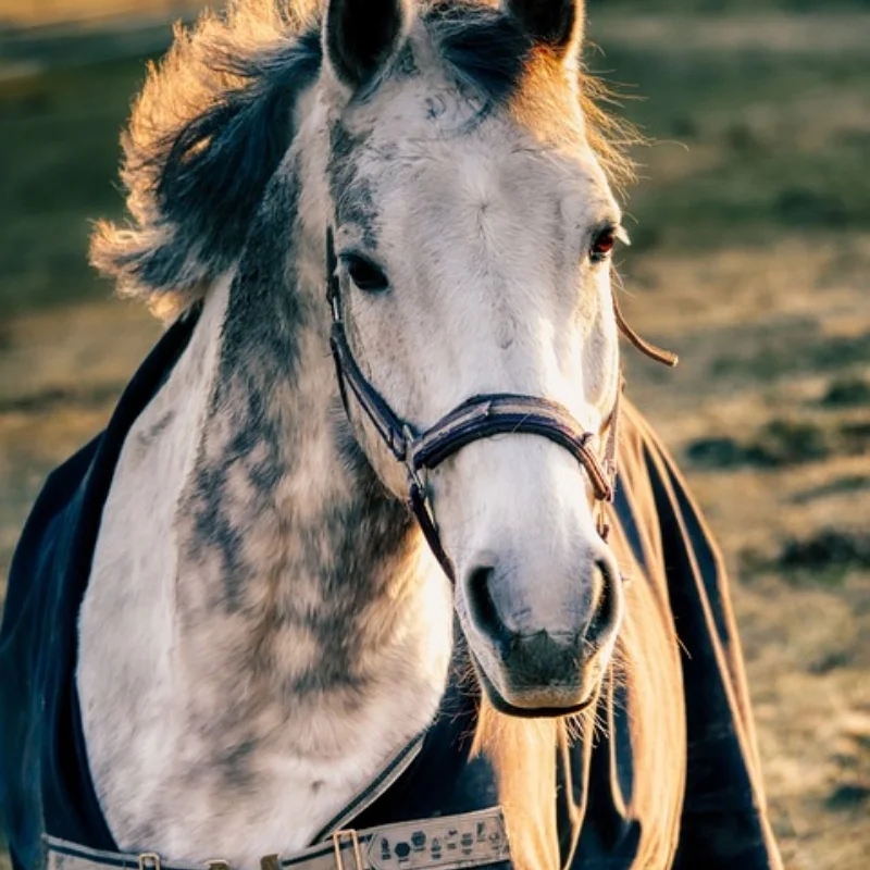 

4 шт., 65 мм 1,3 дюйма, набор металлических колес с бисером для 1/18 1/24 RC гусеничного автомобиля TRX4M SCX24 AX24 FCX24, обновленные детали