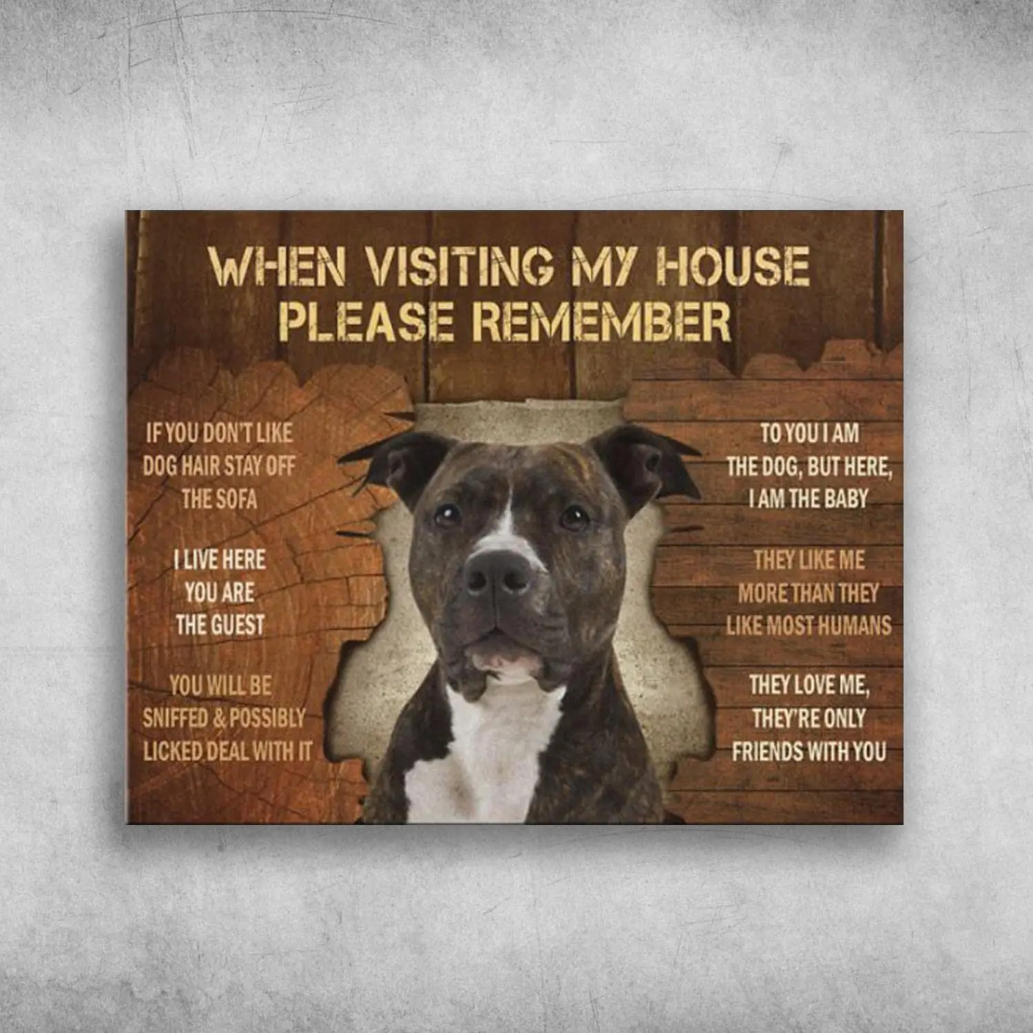 Snowsun Metal Tin Sign When Visiting My House Please Remember Pitbull Dog Aluminum Vintage Sign tin sign Retro for Home Gar sign