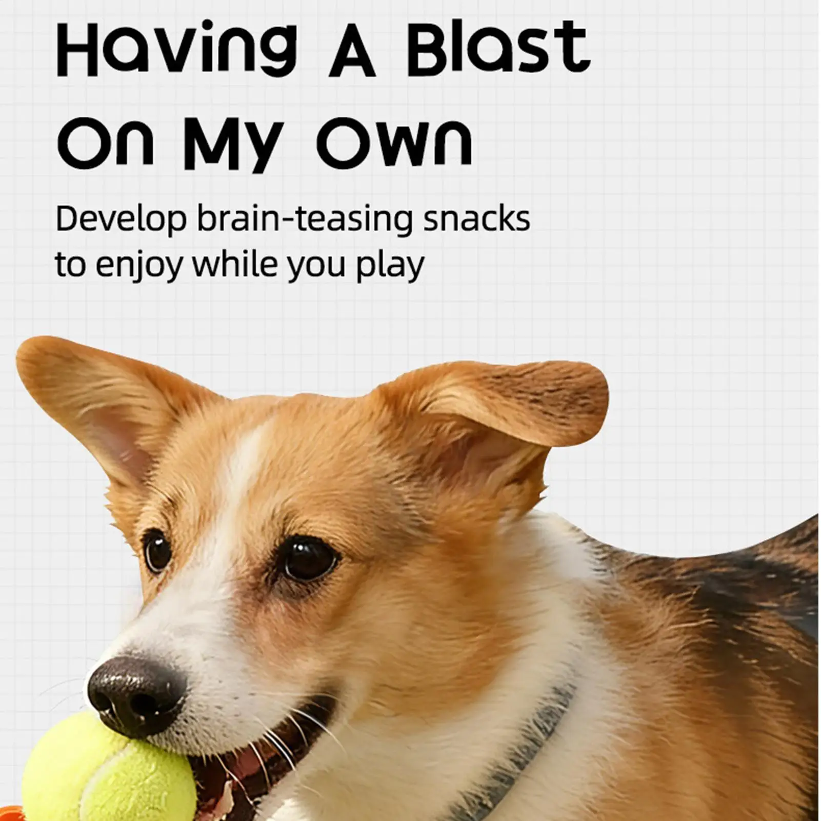 lanciatore-di-palline-per-cani-giocattolo-interattivo-per-addestramento-macchina-lanciapalline-per-cuccioli-con-dispenser-di-snack-per-appartamento-soggiorno-casa-esterni