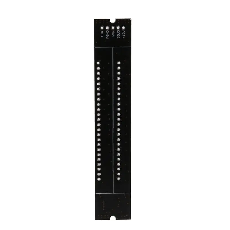 Winter Essential 5X Mini Dual 12 Level Indicator LED Light Bar VU Meter Stereo Amplifier Board Adjustable Light Speed Board With