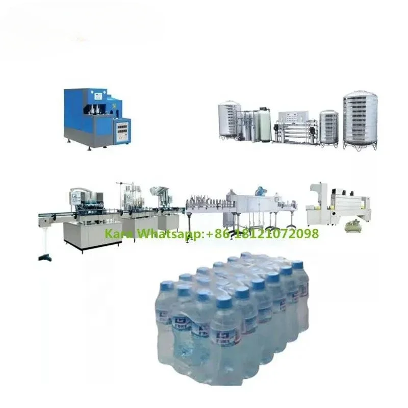 Factory complete Purified mineral water making & bottle filling machine bottle water production line for sale