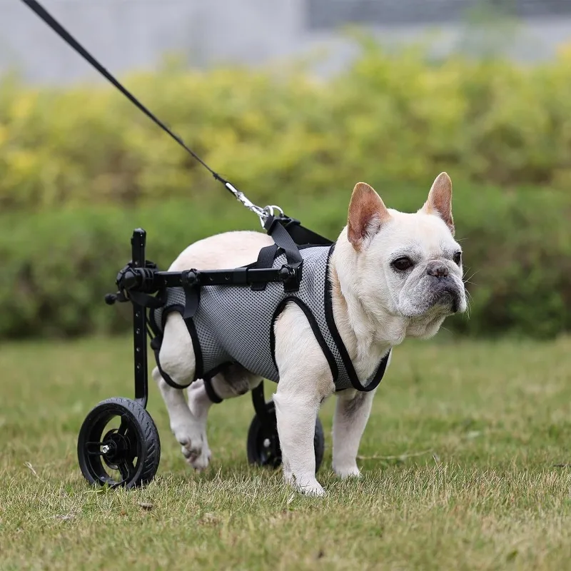 Four-Wheeled Dog Wheelchair Elderly Pet Mobility Aid Car for Hind Leg Support Paralyzed Dog Rehabilitation Walker