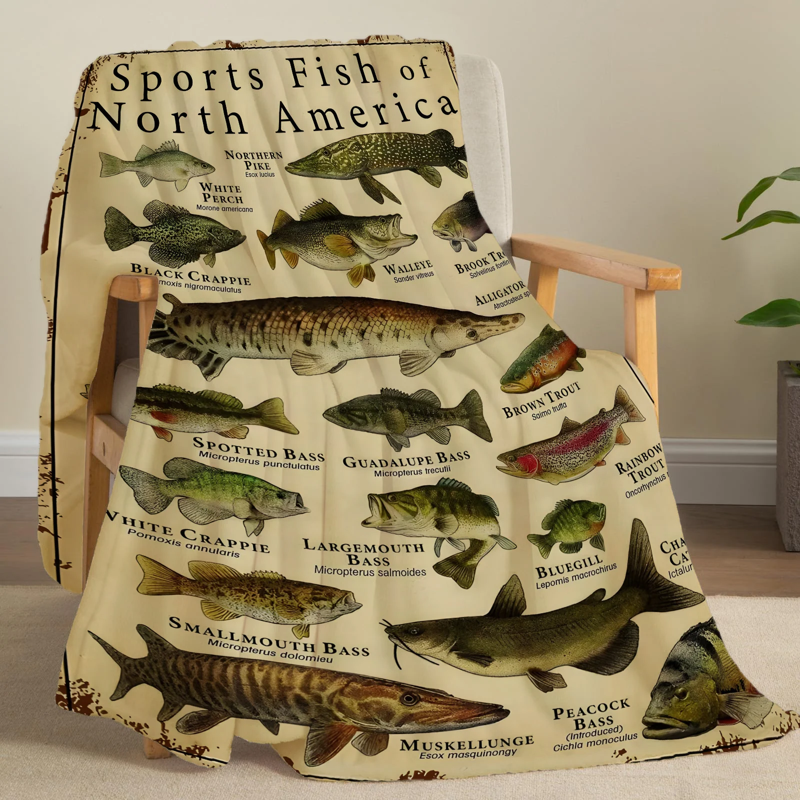 Flannel Sport Fish Print Throw Blanket Super Soft Cozy Nap Blanket for Bed sofa Office Travel Machine Washable Perfect Home Gift