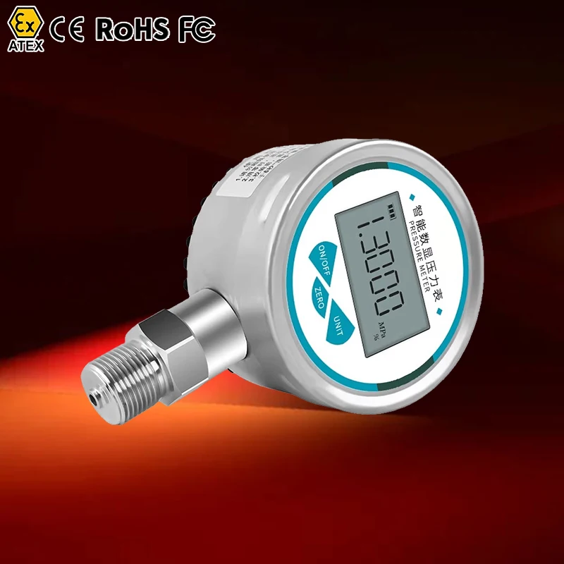 

Air Pressure Gauge Psig Gauge Kpa Low Psi Dual Portable Digital