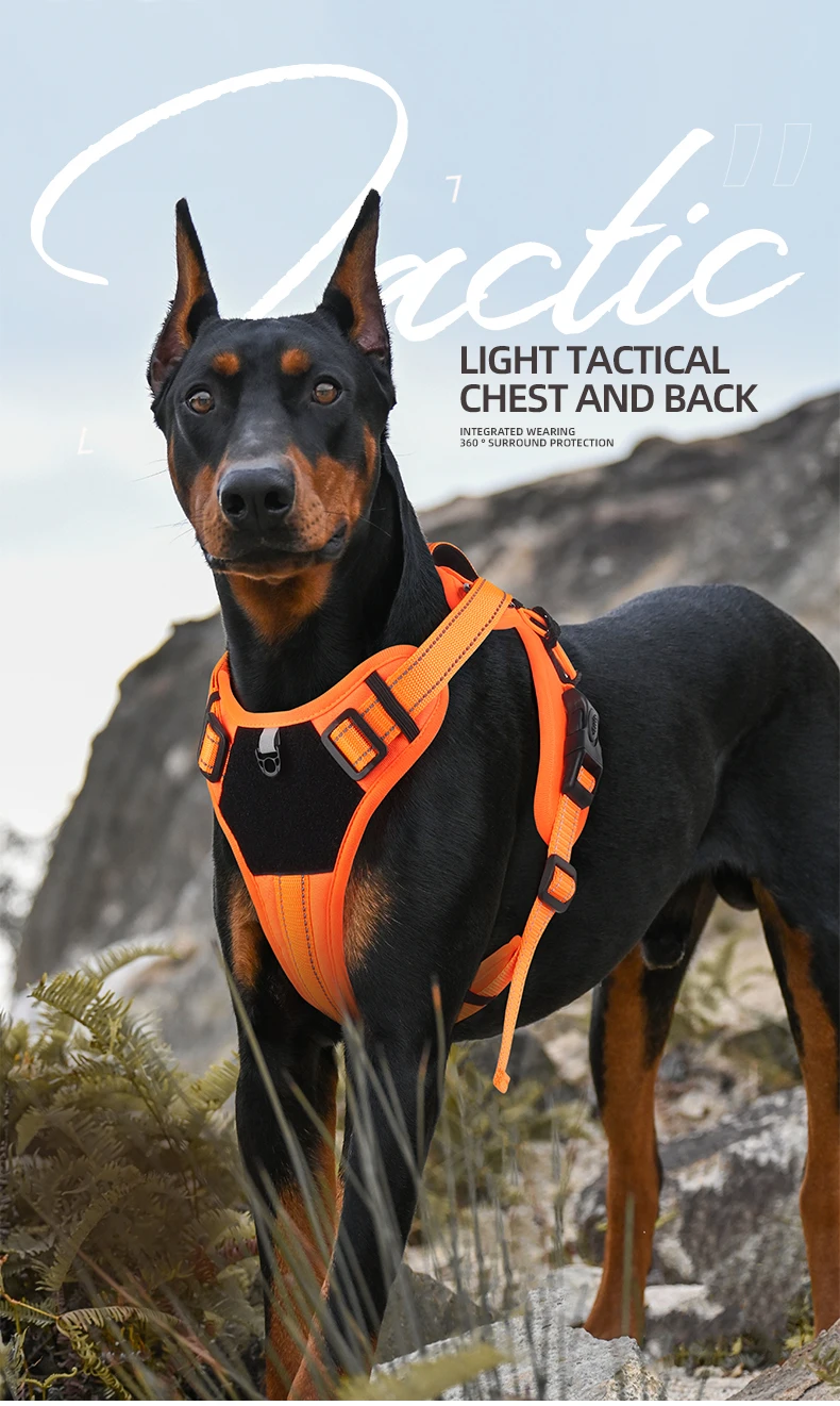 Pet Chest and Vest Reflective Dog Traction Rope Explosion proof Charge Tactical Dog Chest and Vest