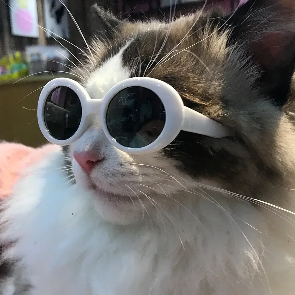 Sunglasses For Cat Glasses Cool Pet Small Dog Glasses Pet Product For Little Dog Cat Sunglasses For Photography Pet Accessories