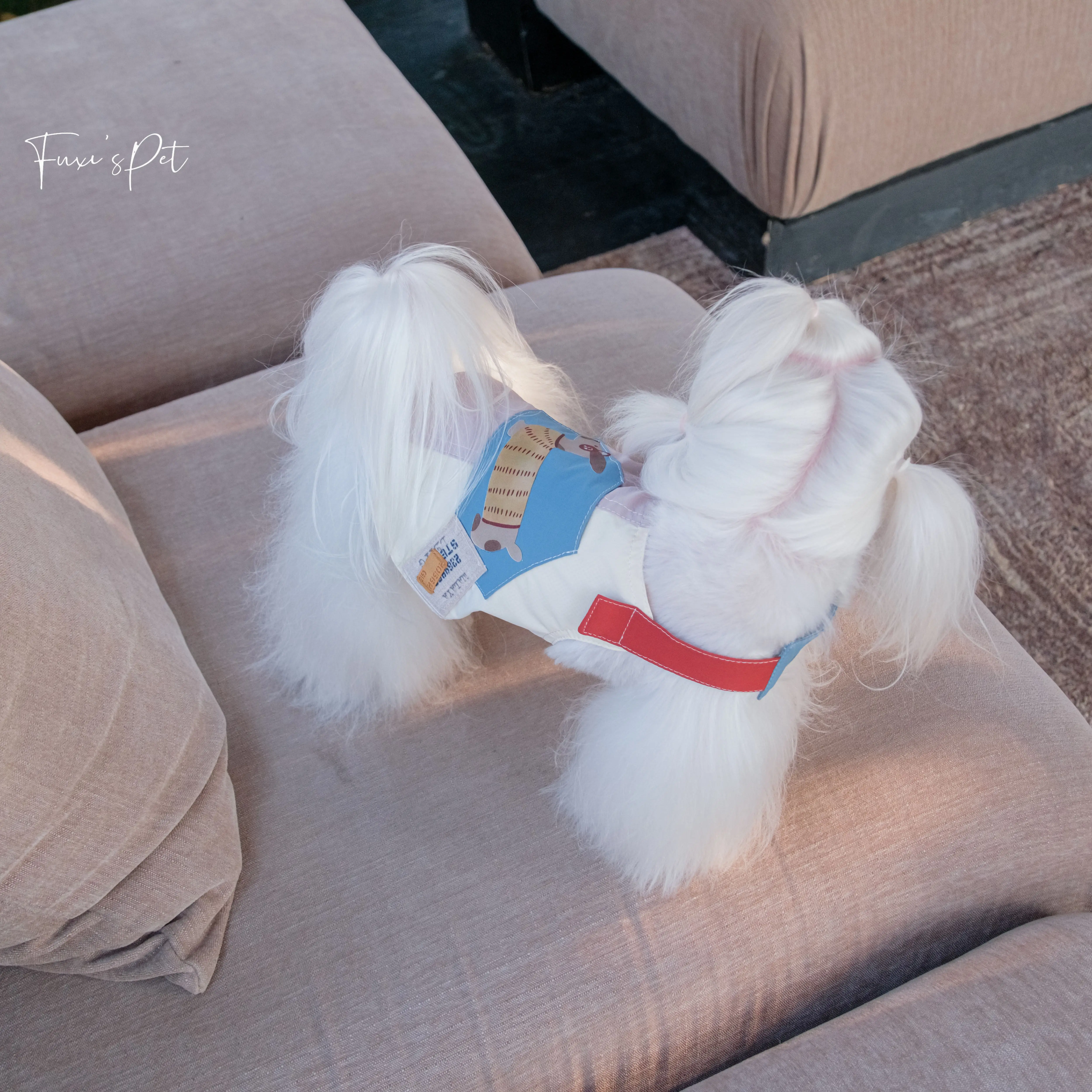 Vêtements pour chiens de petit - Summer Clothing Colors avis et prix