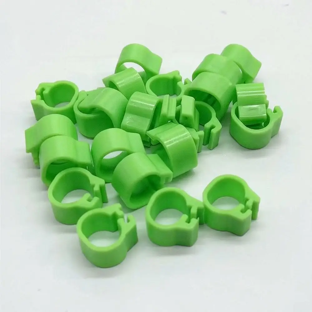 Pigeon Leg Rings Identification Bands Plastic For Racing Birds Poultry Management Durable Tracking Label Tools