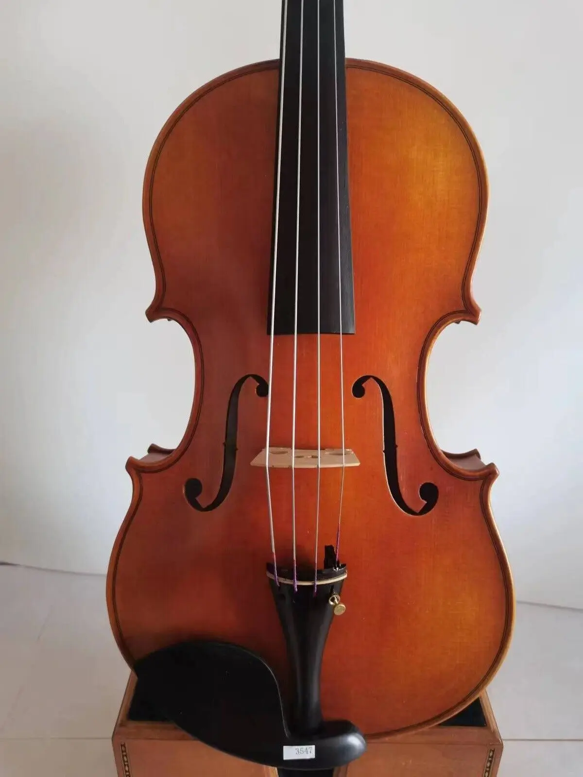 Master Viola 16