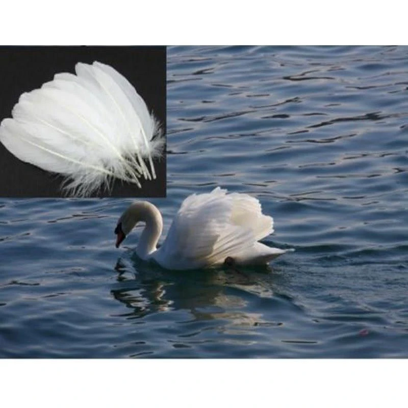 50pcs Beautiful Dyed Natural Soft Goose Feather 15-20cm/6-8inch for Carnival Diy Party Costume Mask Headress