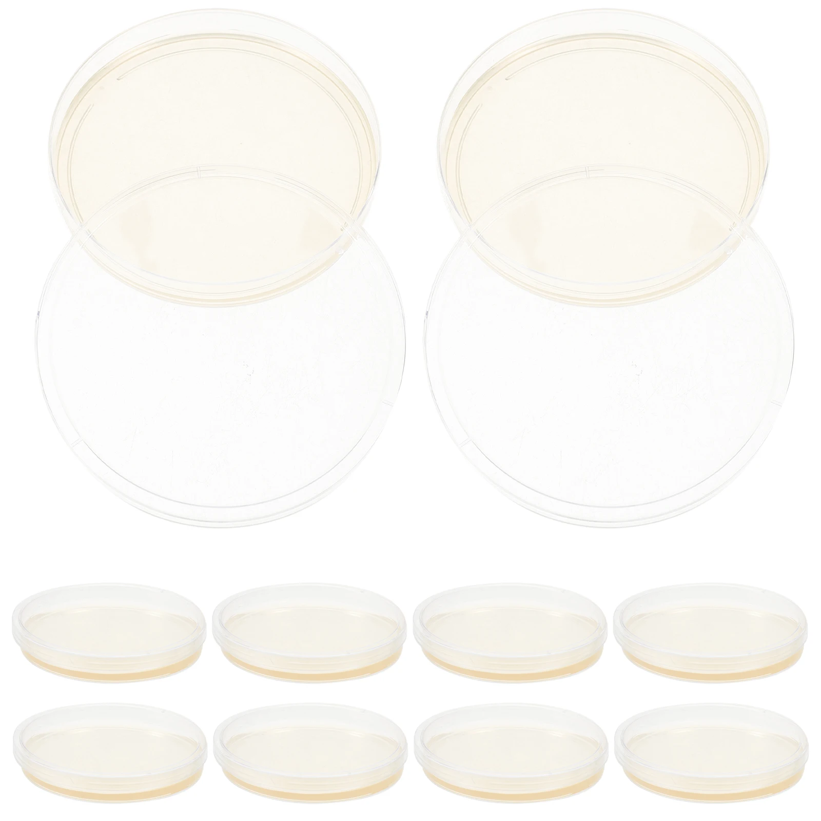 

10pcs Agar Plates Portable Prepoured Agar Petri Dishes Science Projects Laboratory Culture Dish Plastic Petri Test Child Sealed