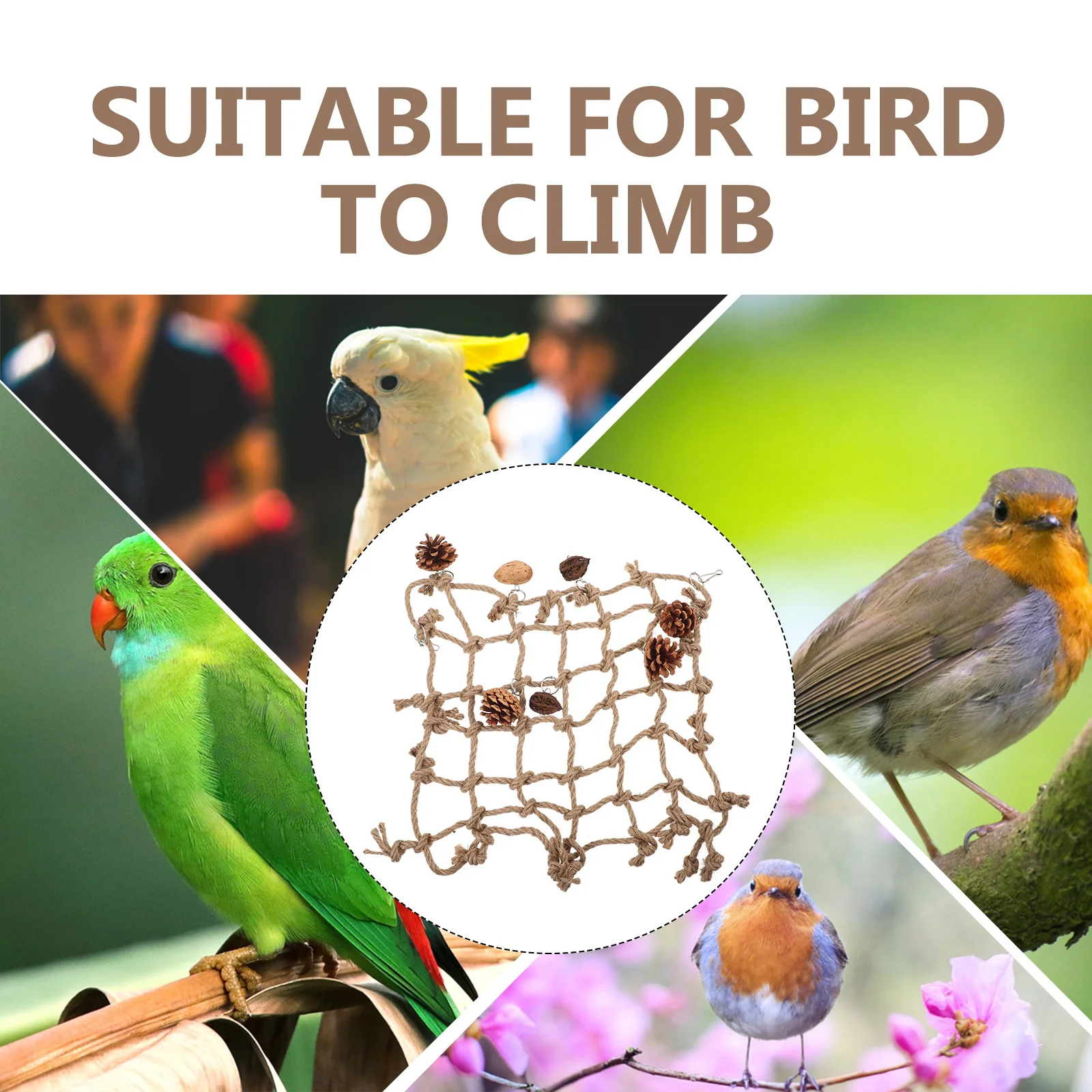 

Climbing Net for Parrot Bird Cage Woven Rope Activity Play for Lovebird Finch Cockatiel Parakeet Wear Resistant Pecking Exercise