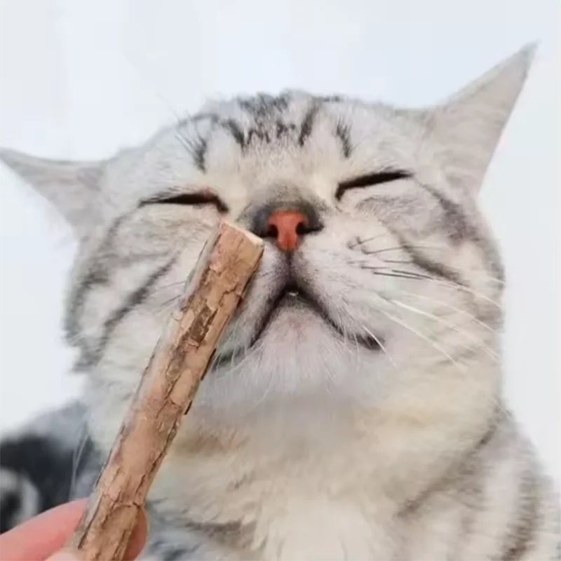 Woodruff Sticks für Katzen, natürliche Katzenminze, Kausticks, Zähne, Backenzahn, Kauspielzeug für Katzen, Kätzchen, Geschenke – Detail 2