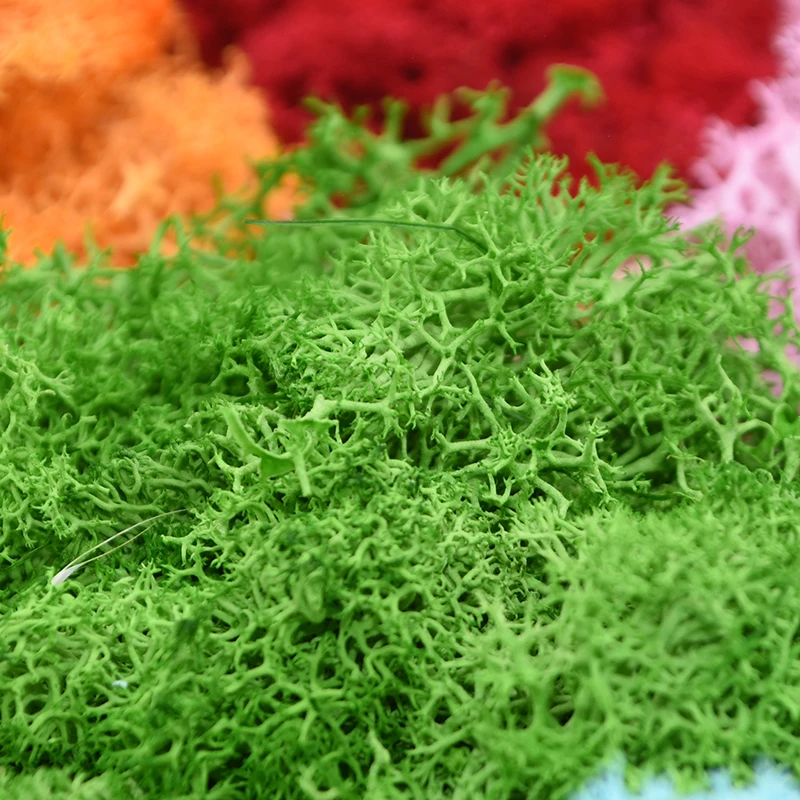 20/40G Tanaman Hijau Buatan Lu - Sphagnum Moss Dry ulasan dan harga