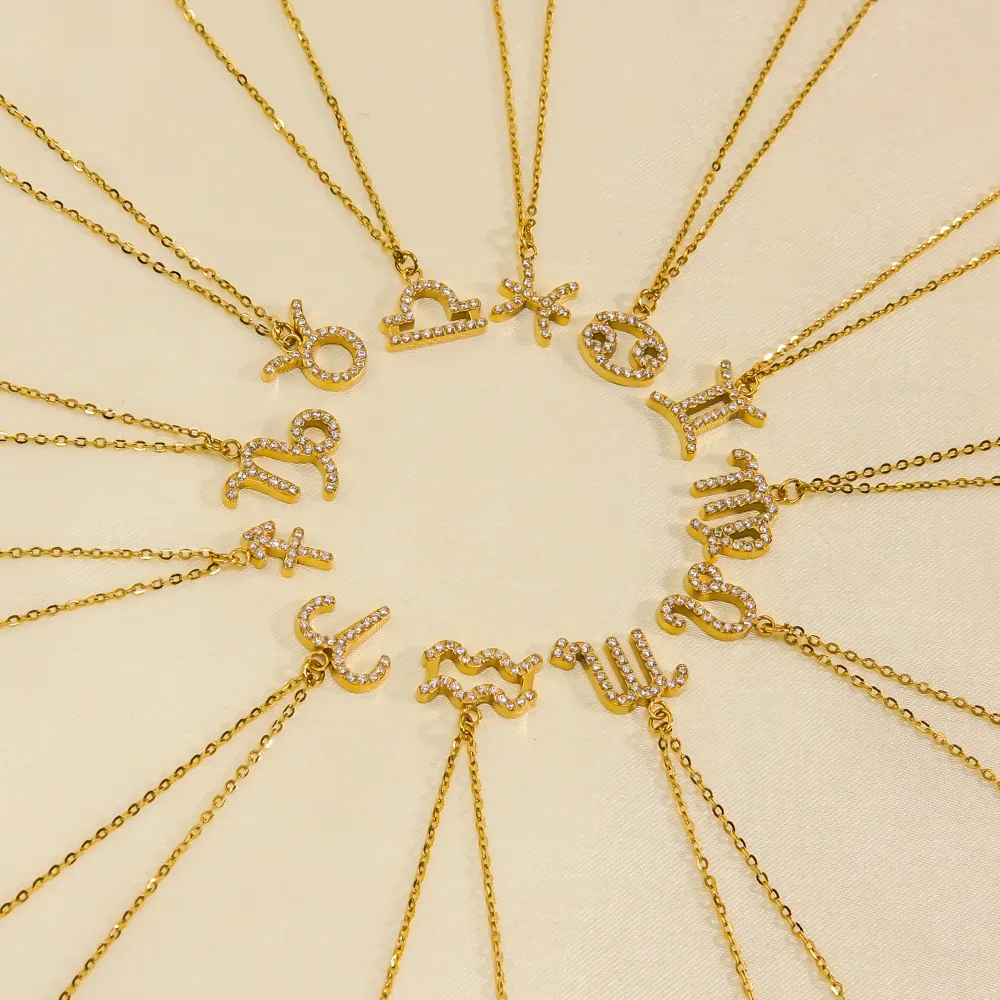 CARLIDANA Hochwertige Minimalistische Trendige Geometrische Edelstahl Vergoldete Zirkon 12 Sternzeichen Anhänger Choker Halskette für Frauen – Detail 4