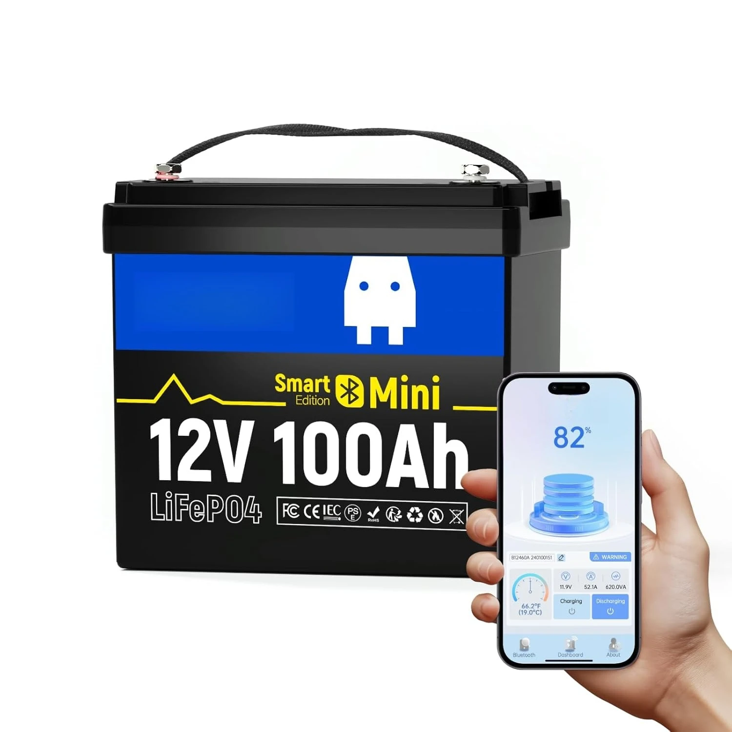 

12V 100Ah LiFePO4 Lithium Battery Mini with Bluetooth 100Ah BMS BCI Group 24 1.28kWh Energy Customized Mini 12V Lithium Battery