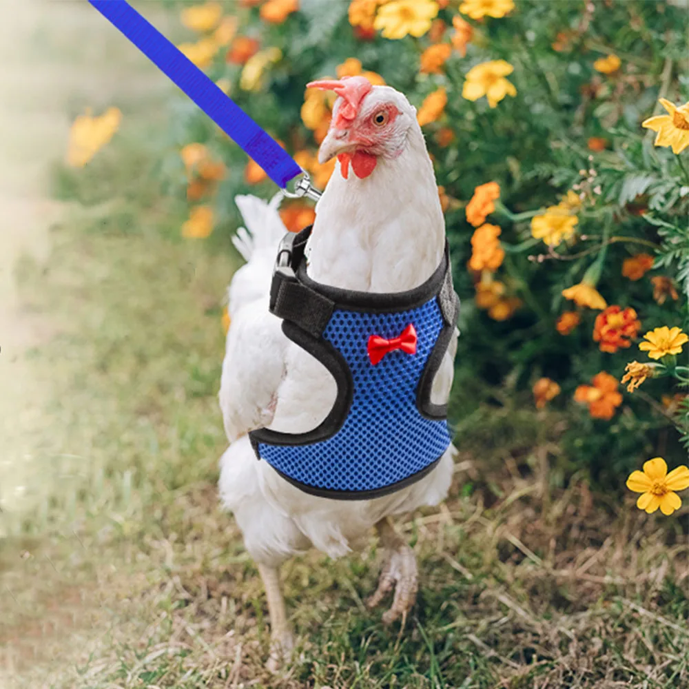 Pet vest belt Adjustable Breathable chicken duck fashion mesh pet with chest back set  plus traction chicken duck goose training