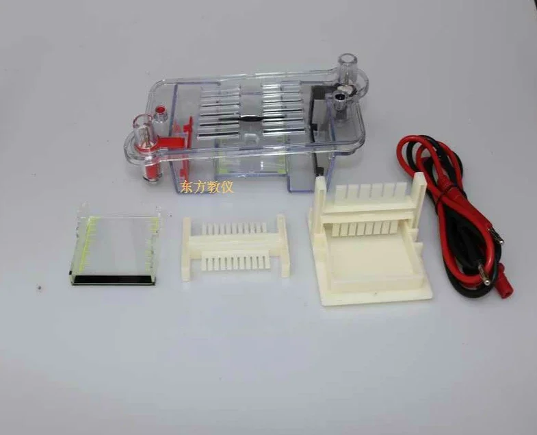 Horizontal electrophoresis tank Agarose electrophoresis tank biological instrument molecular separation teaching instrument