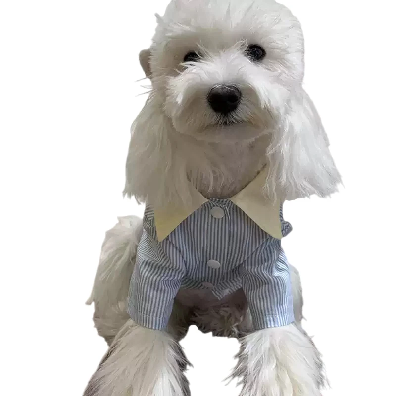 

Summer Dog Shirt Schnauzer Clothes Puppy Pomeranian Maltese Poodle Bihcon Welsh Corgi Dog Clothing Pet Apparel Costumes