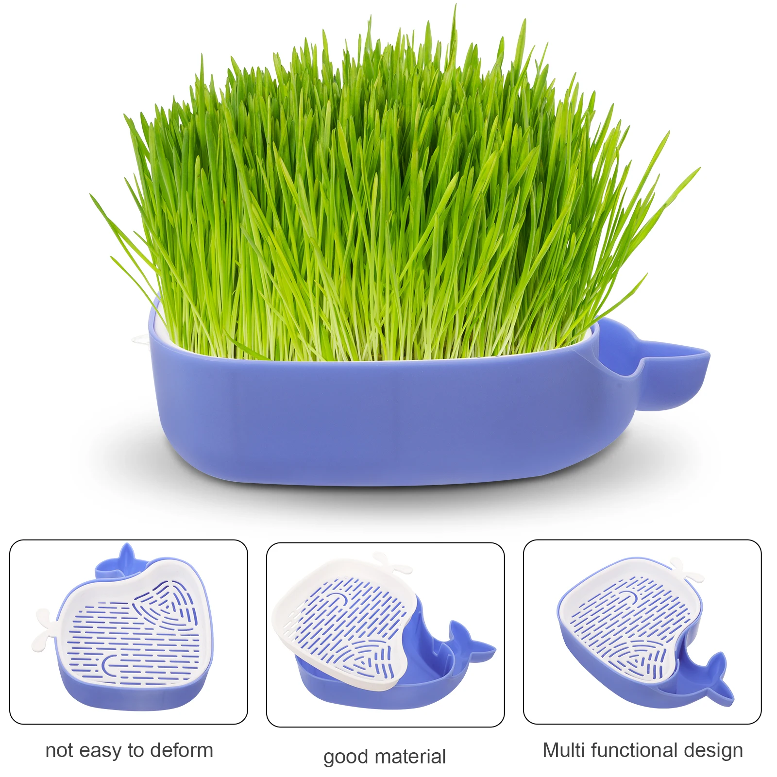 

Grass Planting Box Soilless Hydroponic Planter Pot Blue Plastic Home Use Pet Treats Nursery Container Practical Cat Grass Box