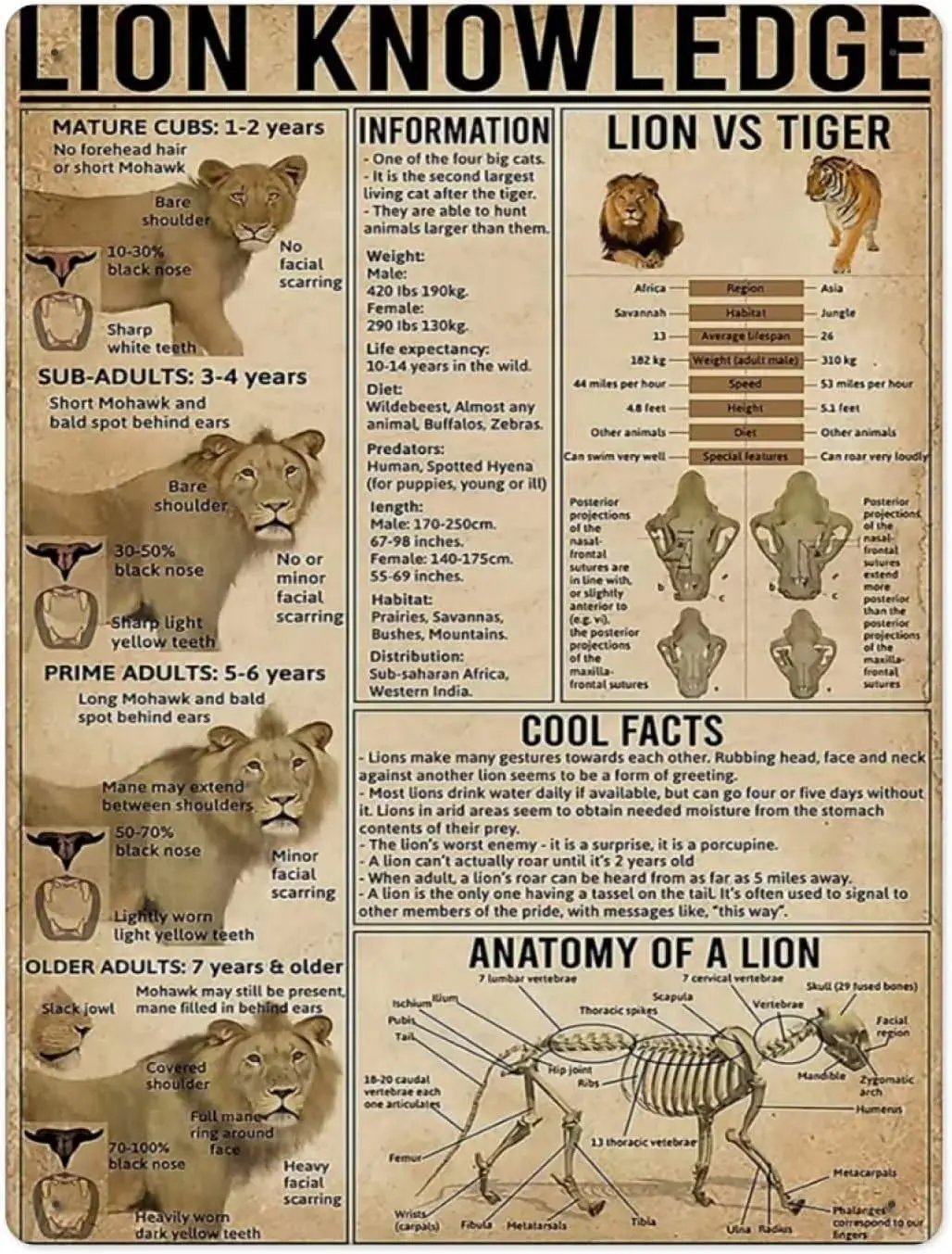 Affiches en étain sur le thème de la connaissance Lhasa, Décoration murale pour salle de bain, Affiche en étain, Infographique pour la maison et la cuisine, Art pour restaurant et café, Panneau M