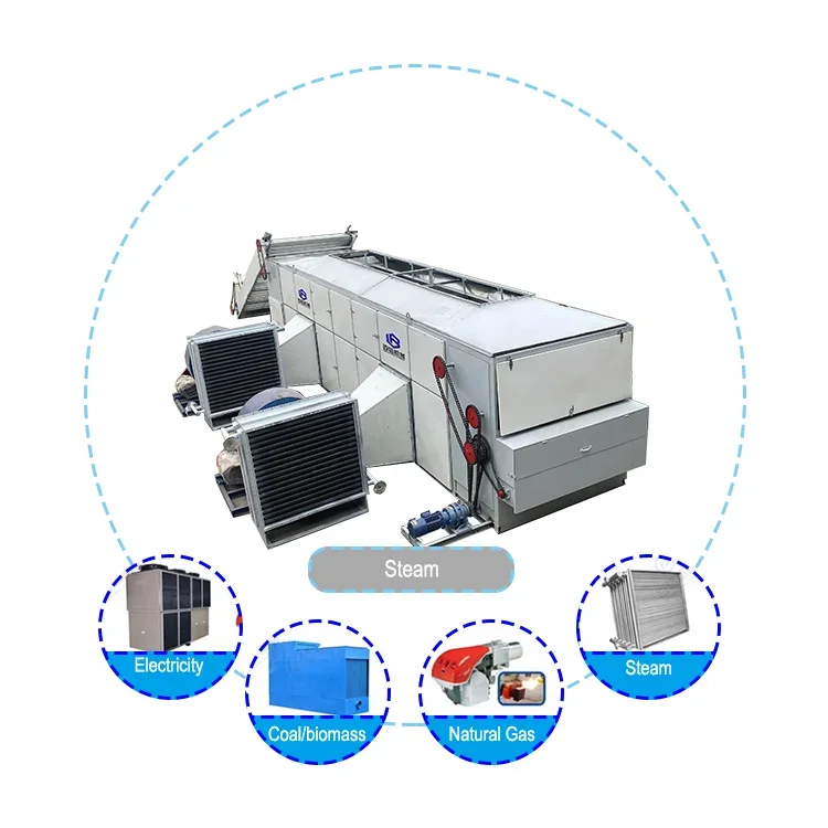 Baixin Large Continuous Bean Dryer Pea and Bean Dehydrator Energy Saving Dryer