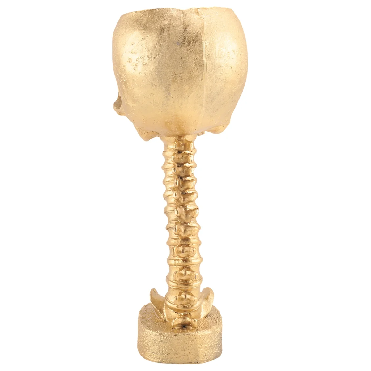 مجموعة حامل جمجمة الراتنج A24R وحامل العمود الفقري، وعاء جماجم البوليريسين، زينة الهالوين زهرة رأس جمجمة بشرية قديمة، ذهبي #6