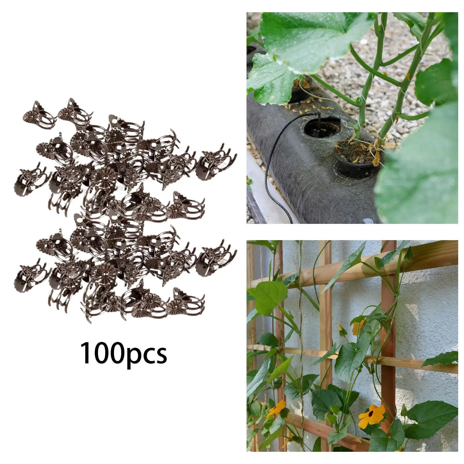 100 Pieces Plant Support Clips Practical for Outdoor Climbing Plants Tomato