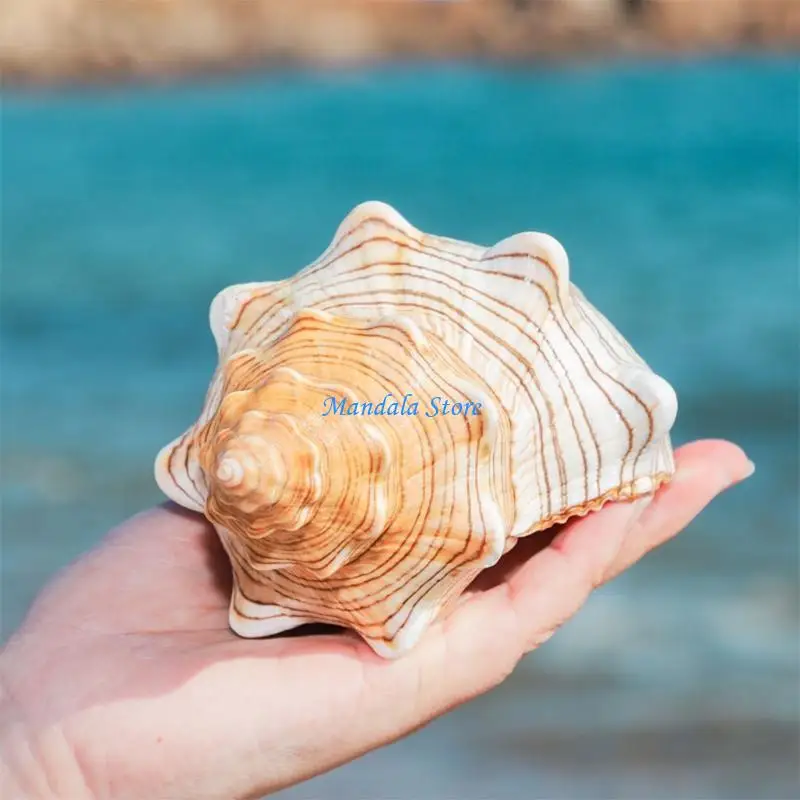 U2JC Aquarium Decorations Spinning Snail Horn Conch Thematic Ornament Fish for Tank Hideout Accessories for Betta