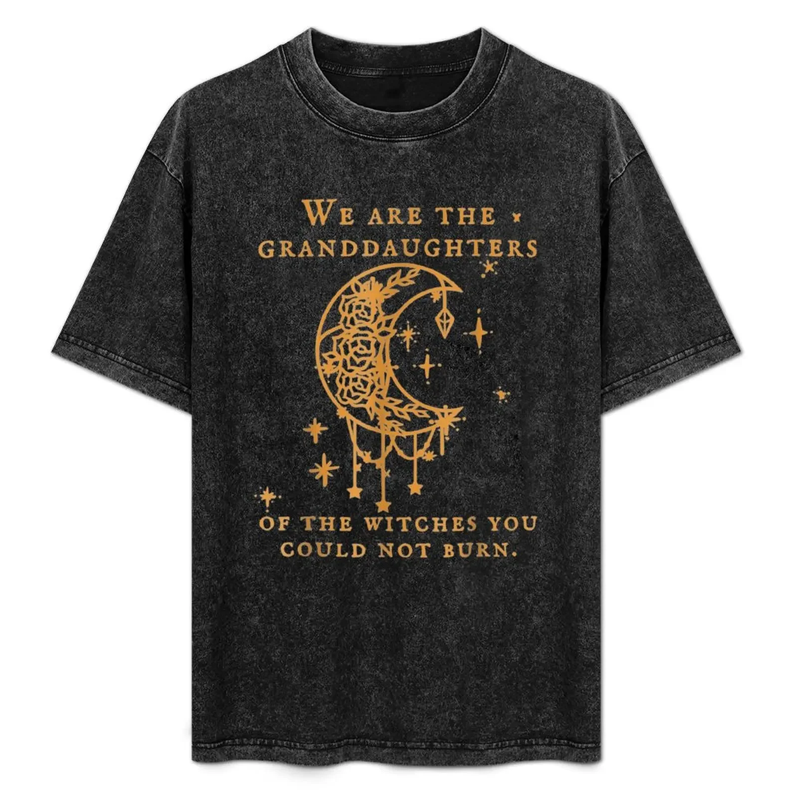 

We Are the Granddaughters of the Witches You Could Not Burn T-Shirt funny meme t-shirts t shirts for men graphic