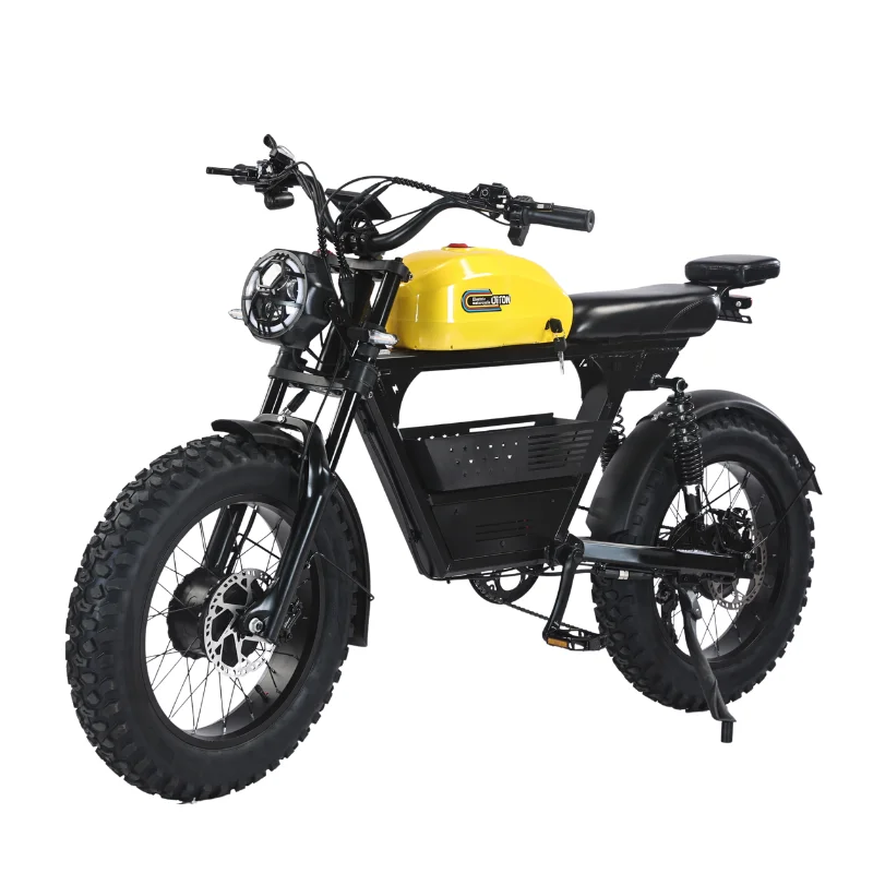 Diton Tank 300 AWD Dual Motor Electric Bike|3000W Peak Power Fat Tire E-Bike|35Ah Long-Range Battery|All-Terrain City & Off-Road