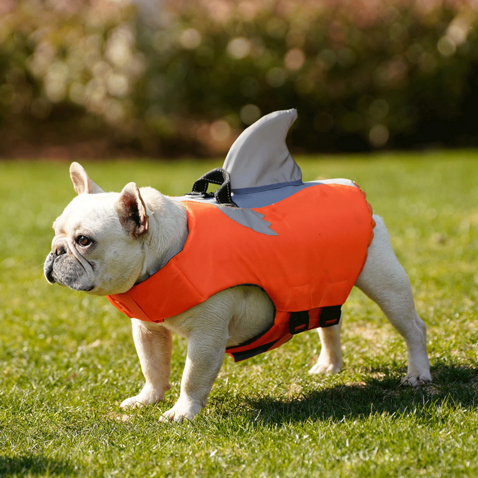 Summer Dog Life Jacket High Buoyancy Dog Safety Vest with Rescue Handle for Small Medium Large Dogs Reflective Swim Vest