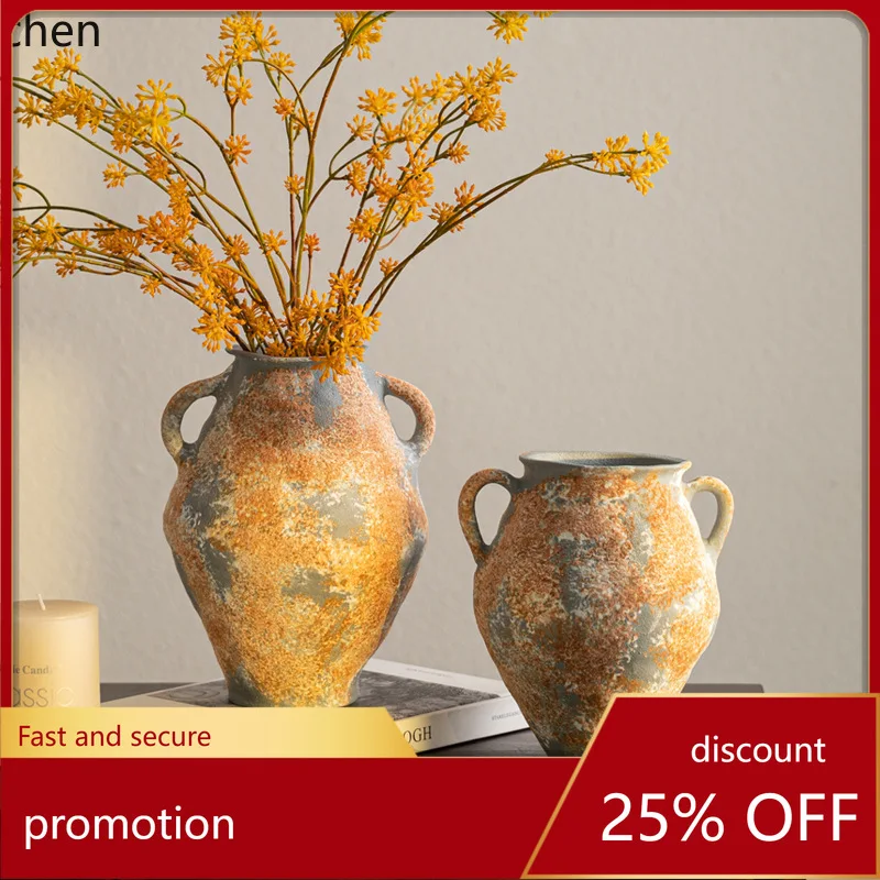 CZ Vintage Distressed Ceramic Decor Double-Eared Vase Ornament Rust Water Cultivation Flower Pot
