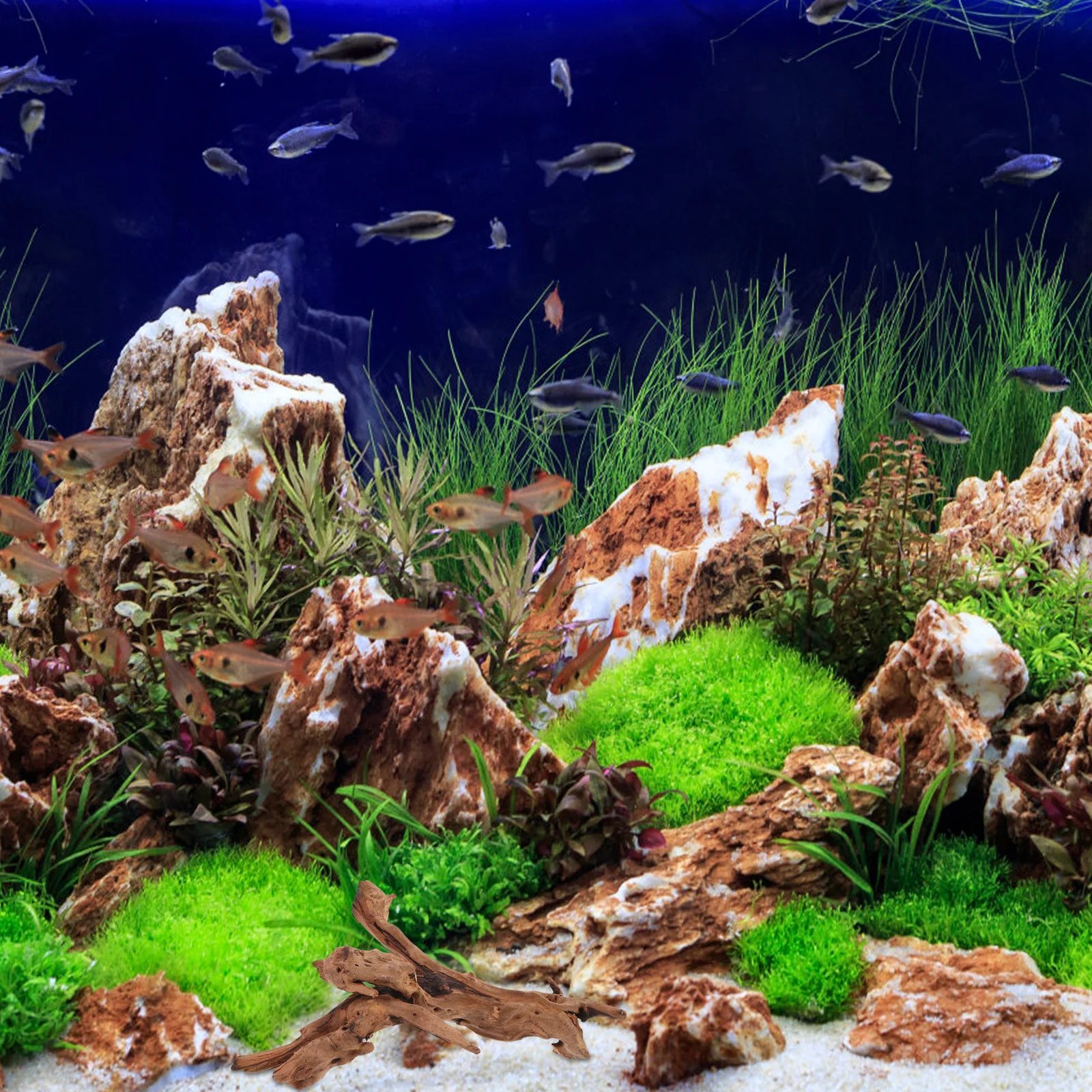 

Fish Tank Dead-Wood Decor Natural Wood Random -25cm Improve Style Safe Aquatic Animals Stable Wide Bottom